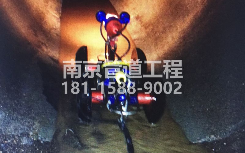 224大树根管道机器人检测