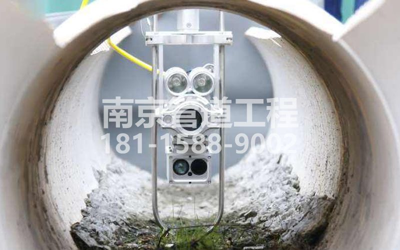 221大树根QV检测