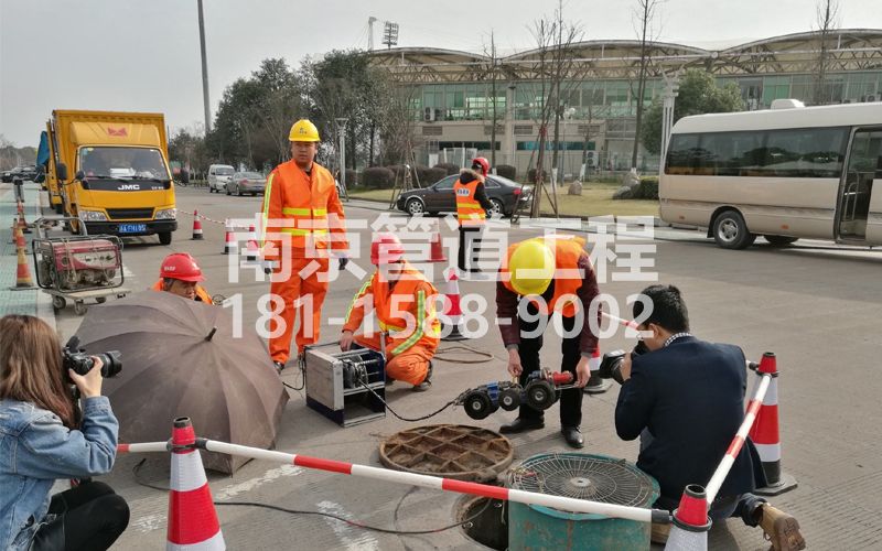 219大树根管道检测