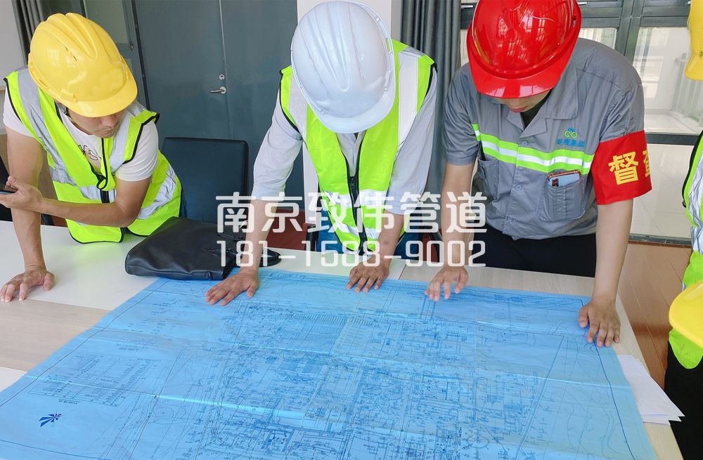 364大树根管道探测